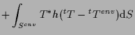 $\displaystyle +
\int_{S^{cnv}}
T^* h ( {}^{t} T - {}^{t} T^{env} )
\mathrm{d} S$