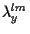 $\lambda^{lm}_y$