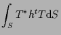 $\displaystyle \int_S
T^* h {}^{t} T
\mathrm{d} S$