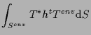 $\displaystyle \int_{S^{cnv}}
T^* h {}^{t} {T^{env}}
\mathrm{d} S$