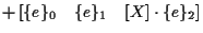 $\displaystyle + \left[ \{ e \} _0 \quad \{ e \} _1 \quad [ X ] \cdot \{ e \} _2 \right]$