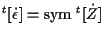 $\displaystyle {}^{t} [ \dot{\epsilon} ] = \mathrm{sym} \; { {}^{t} [ \dot{Z} ] }$