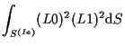 $\displaystyle \int_{S^{(Ie)}}
(L0)^2 (L1)^2
\mathrm{d} S$