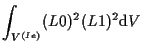 $\displaystyle \int_{V^{(Ie)}}
(L0)^2 (L1)^2
\mathrm{d} V$