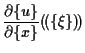 $\displaystyle \frac{ \partial \{ u \} }{ \partial \{ x \} } ( \! ( \{ \xi \} ) \! )$